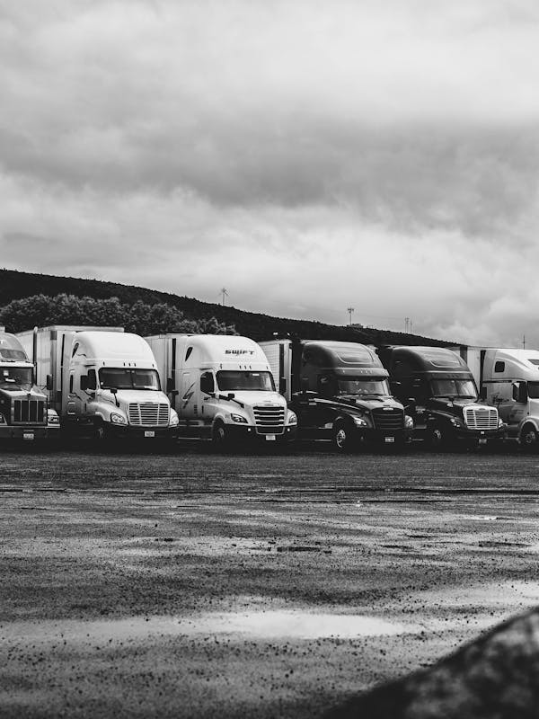 pexels-photo-2348359