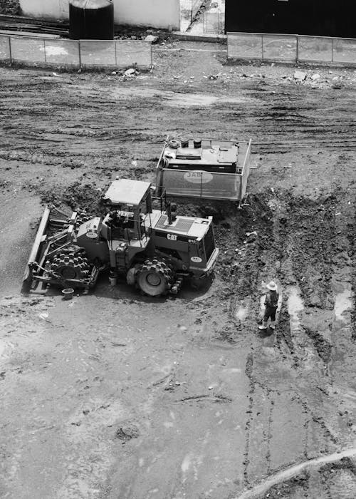 pexels-photo-28512238