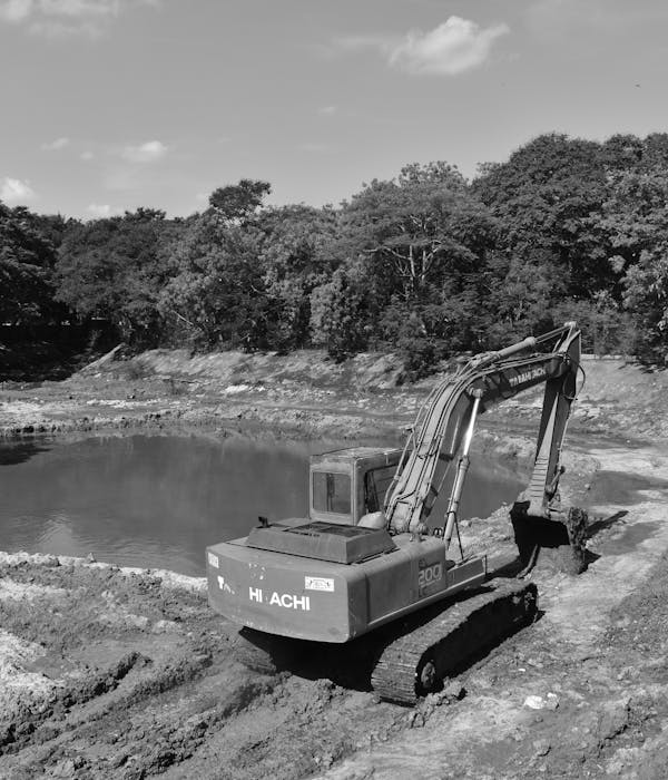 pexels-photo-30340383